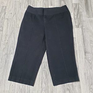 (3/$27) INC International Concepts Capri Pants